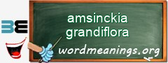 WordMeaning blackboard for amsinckia grandiflora